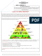 Guia 4 Periodo 4 La Cadena Alimenticia