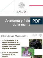 Anatomia y Fisiologia Mama