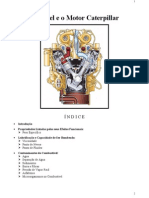 Motor Diesel Caterpillar