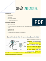 Apuntes de Parasitología Laboratorio