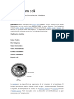 Balantidium Coli Resumen