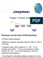 Enzymes:: "Helper" Protein Molecules