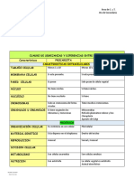 Semejanzas y Diferencias - CT