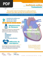 Insuficiencia Cardiaca Infografia 1