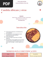 Candida PPT Final