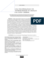 Protocolo Psicopedagógico de Avaliação Interdisciplinar de Crianças Com Lesão Cerebral