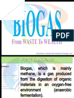 Biogas: From Waste To Wealth