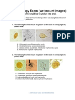 Parasitology Exam (Wet Mount Images) : Answers Will Be Found at The End