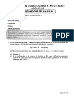 Consolidado 2 Fundamentos Del Calculo