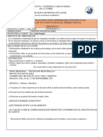 Ficha Proyectos 9no y Decimo (1