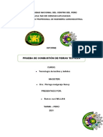 Prueba de Combustion de Fibras