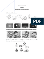 Evaluaciones 2do CCNN