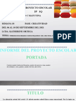 Semana 18 Informe Pe