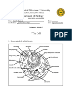 Central Mindanao University Department of Biology: "The Cell