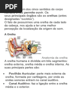 AUDIÇÃO