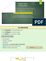 Slides Da Aula - Semana 6 - Bio 3 - Moluscos e Equinodermos