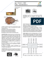 LISTA EXTRA - Invertebrados II