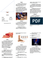 Triptico Sobre Las Lesiones