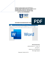 Microsoft Word