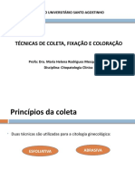 AULA 03 Técnicas de Coleta