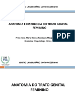 AULA 02 Anatomia e Histologia Do TGF