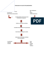 Pa Tho Physiology of Acute Pyelonephritis