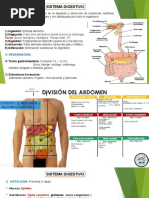 Digestivo, Respiratorio, Cardiovascular, Linfatico