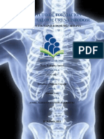 6.-Tarea Del Sistema Óseo