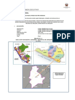 Resumen Ejecutivo Saneamiento