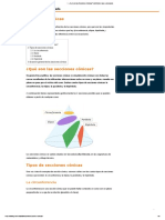 ¿Qué Son Las Secciones Cónicas - (Definición, Tipos y Ejemplos)