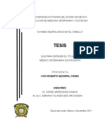 Tesis Examen Neurologíco Caballo