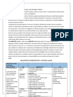 Planes de Cuidados de Enfermería en Las Patologías Cardiacas