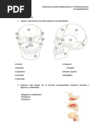 Tarea 3 (Terminado)