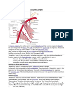 Axillary Artery