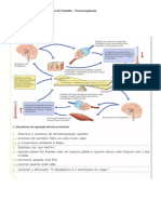 Ficha de Trabalho Regulacao Da Temperatura Corporal Com Solucoes