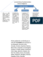 Características Fundamentales ETNIAS