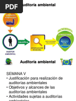 Principios Generales de La Auditoríambiental