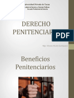 6 Derecho Penitenciario