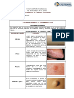 Lesiones Cutaneas