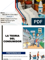 Teoria Del Consumidor