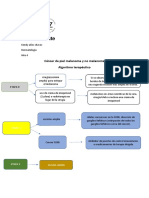 Melanoma Terapia