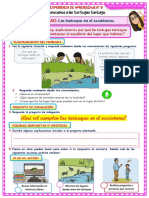 Ficha de Actividad 4 Experiencia 9 (Ciencia y Tecnología)