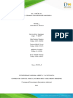 SALUD PÚBLICA - FASE 2 - Grupo 303041-3