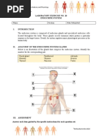 Laboratory Exercise No. 10 Endocrine System