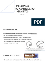 Principales Enteroparasitosis Por Helmintos