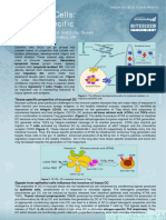 Dendritic Cells - Tissue-Specific