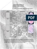 Tinciones y Medios de Cultivos PDF