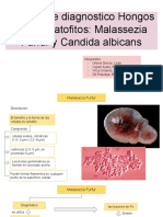 Practica 02 Microbiologia