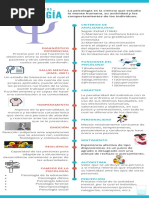 Infografía Conceptos Básicos