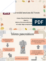 Mapa Conceptual Islotes